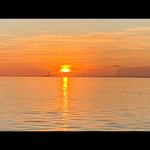 Meet your Posher, Jane